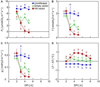Gas Exchange Rates Decrease and Leaf Temperature Increases in Nicotiana benthamiana Leaves Transiently Overexpressing Hemagglutinin in an Agrobacterium-Assisted Viral Vector System